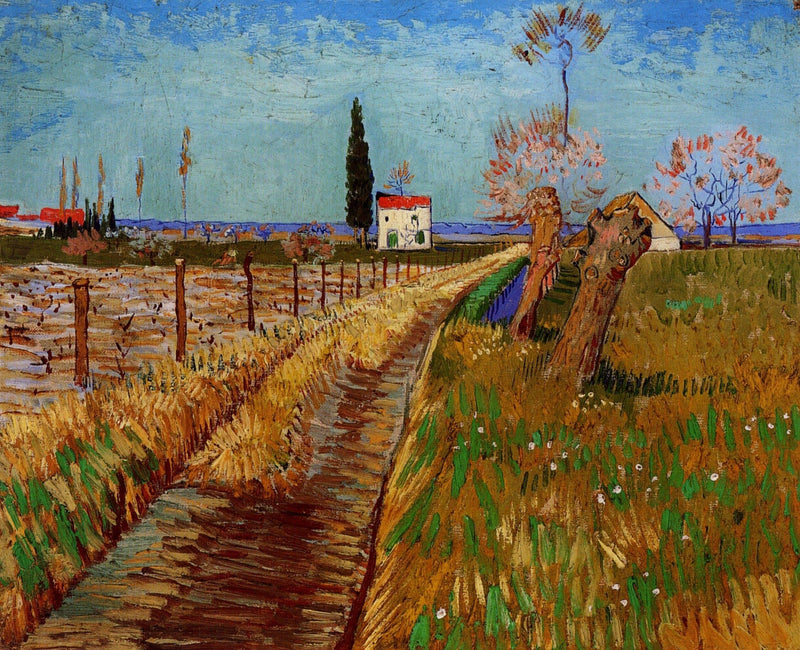 Path Through a Field with Willows on gallery wrap