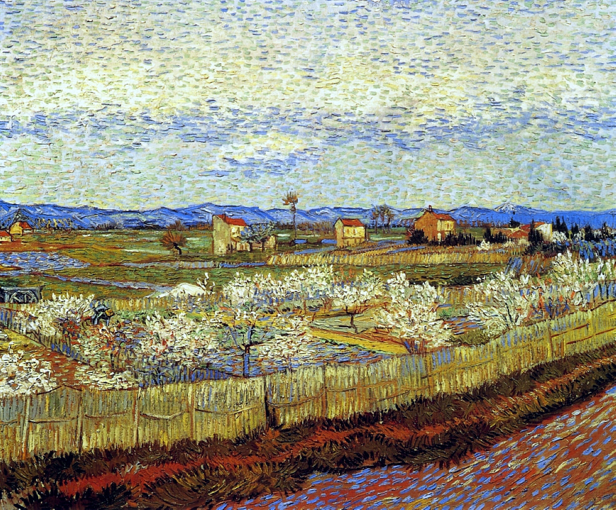 Peach Trees in Blossom - Vincent van Gogh