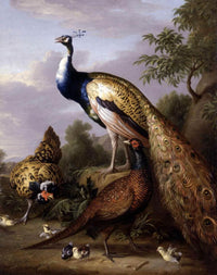 Peacock, Hen and Cock Pheasant in a Landscape by Tobias Stranover — hand-painted animal oil painting reproduction on canvas
