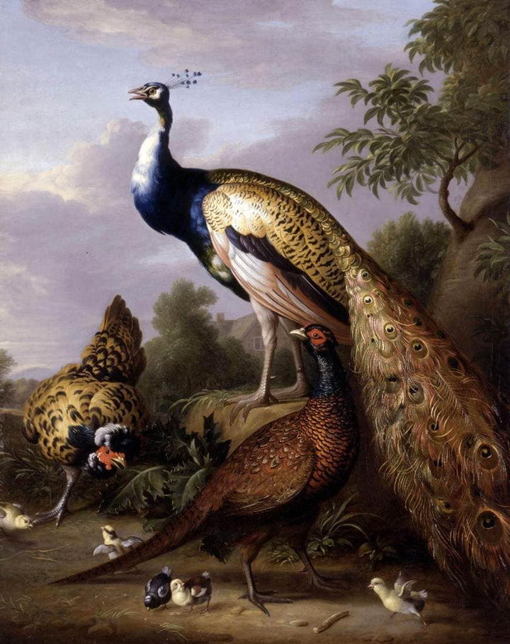 Peacock, Hen and Cock Pheasant in a Landscape by Tobias Stranover — hand-painted animal oil painting reproduction on canvas