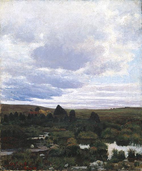 Peat Bog on Jæren - Kitty Lange Kielland