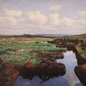 Peat Land in Jæren