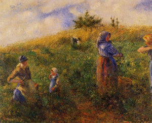 Picking Peas - Camille Pissarro