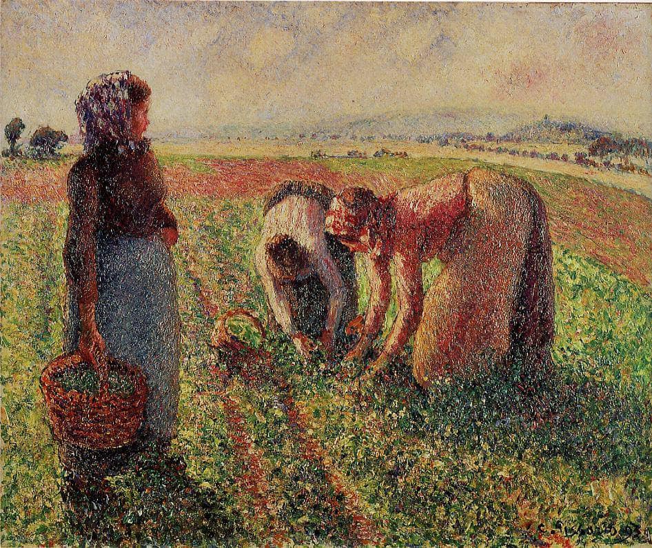 Picking Peas by Camille Pissarro — hand-painted landscape oil painting reproduction on canvas