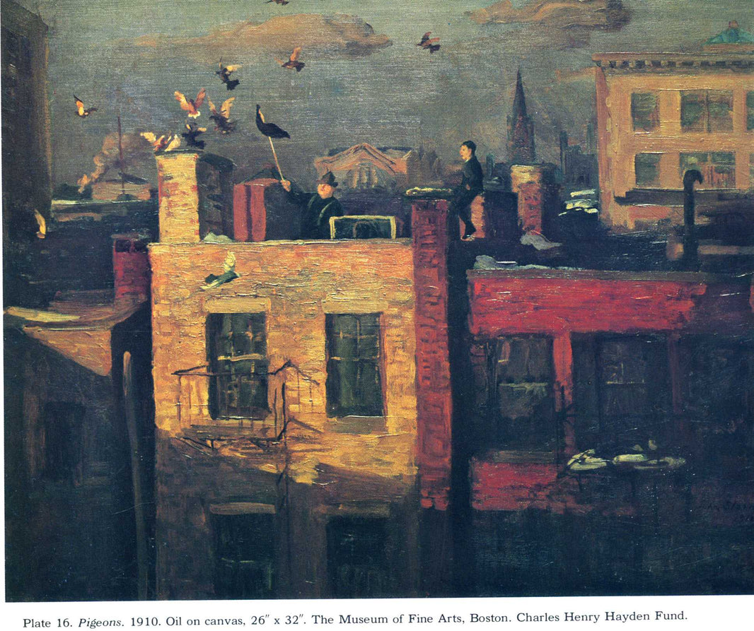 Pigeons by John French Sloan — hand-painted animal oil painting reproduction on canvas