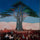 Pilgrimage to the Cedars in Lebanon in apartment