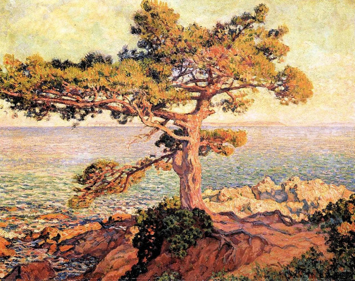 Pine by the Mediterranean Sea by Theo van Rysselberghe — hand-painted botanical oil painting reproduction on canvas