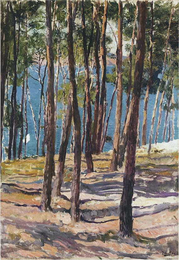 Pine Trees by Joaquín Sorolla — hand-painted botanical oil painting reproduction on canvas