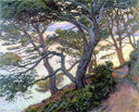 Pines of Rayol by Theo van Rysselberghe — hand-painted botanical oil painting reproduction on canvas