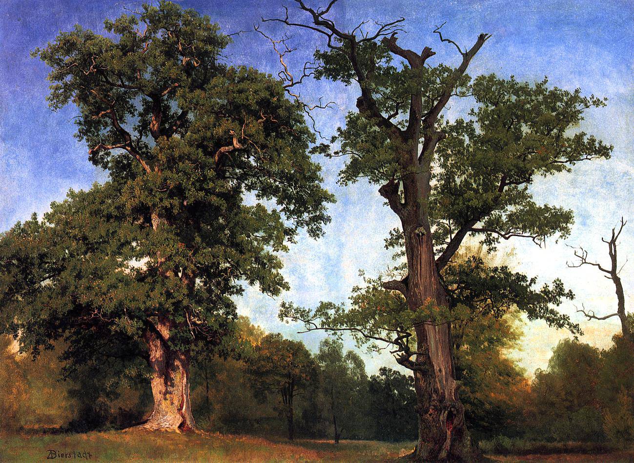 Pioneers of the Woods - Albert Bierstadt