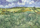 Plain near Auvers by Vincent van Gogh — hand-painted landscape oil painting reproduction on canvas