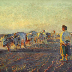 Plowing in Ukraine