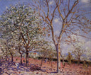 Plum and Walnut Trees in Spring by Alfred Sisley — hand-painted botanical oil painting reproduction on canvas