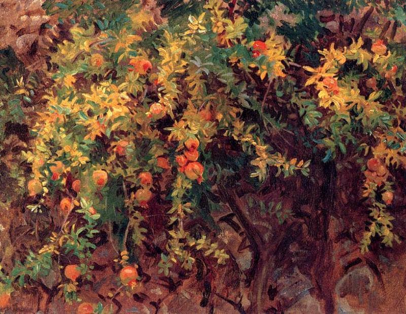 Pomegranates by John Singer Sargent — hand-painted botanical oil painting reproduction on canvas