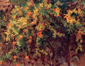 Pomegranates - John Singer Sargent