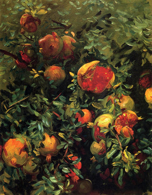 Pomegranates, Majorca - John Singer Sargent