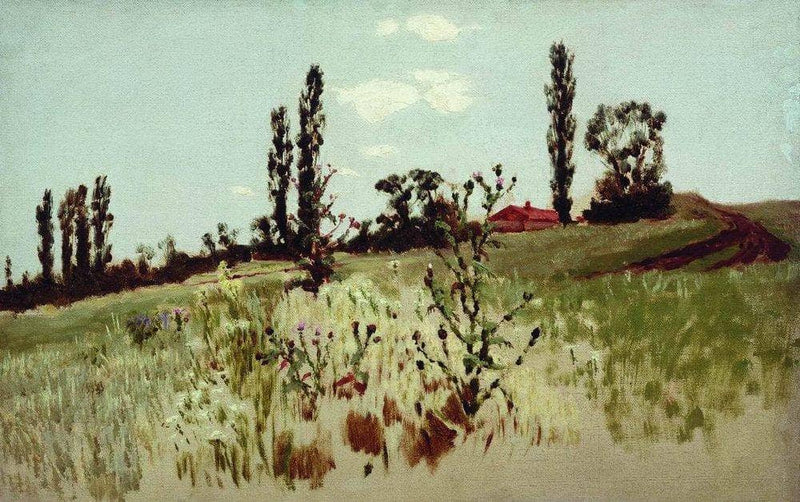 Poplar trees on gallery wrap