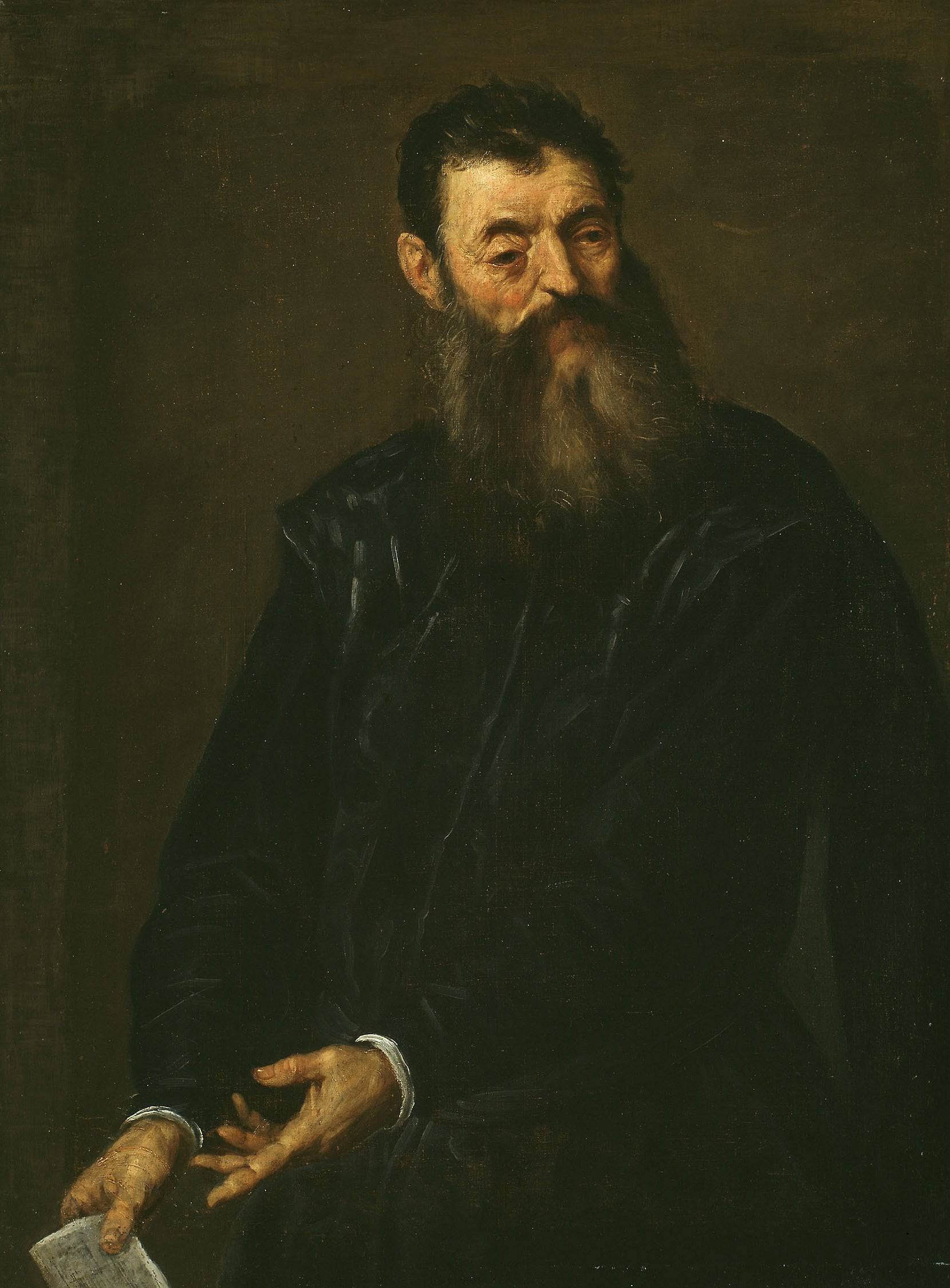 Portrait of a Gentleman - Palma il Giovane