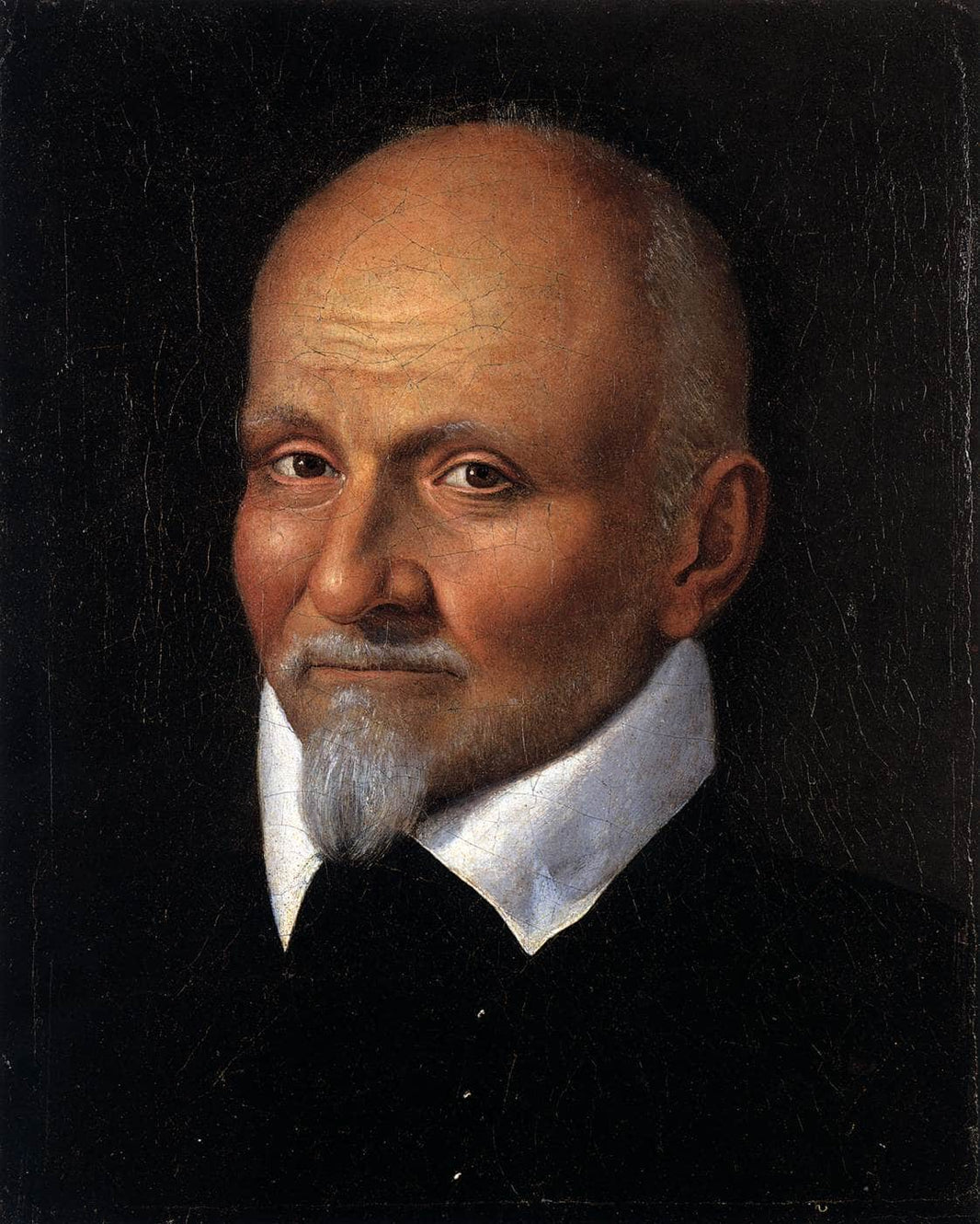 Portrait of a Man by Fede Galizia — hand-painted portrait oil painting reproduction on canvas