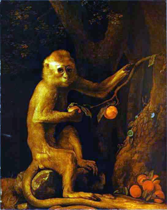 Portrait of a Monkey - George Stubbs