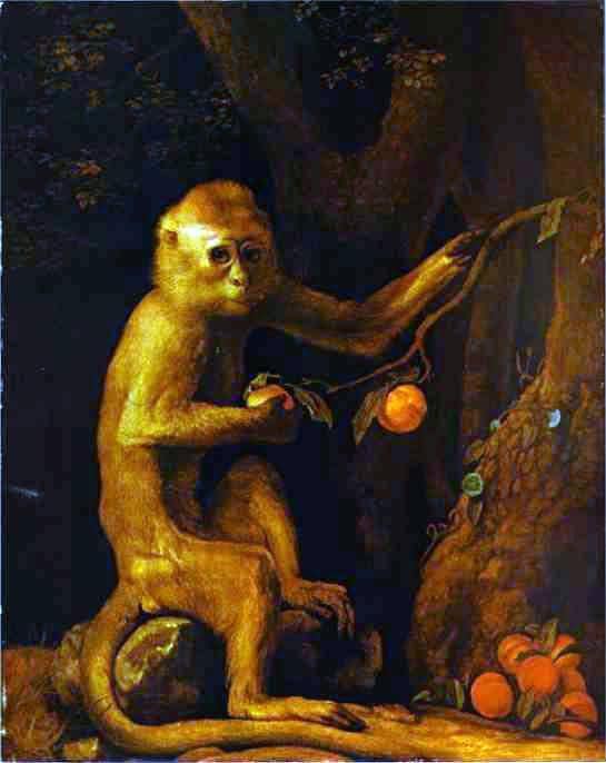 Portrait of a Monkey on gallery wrap