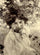 Portrait of a woman in a garden in living room