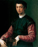 Portrait of a Young Man by Francesco de' Rossi (Francesco Salviati), "Cecchino" — hand-painted portrait oil painting reproduction on canvas