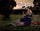 Portrait of Alaide Banti in the garden in home office