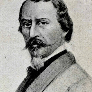 Portrait of Aleardo Aleardi