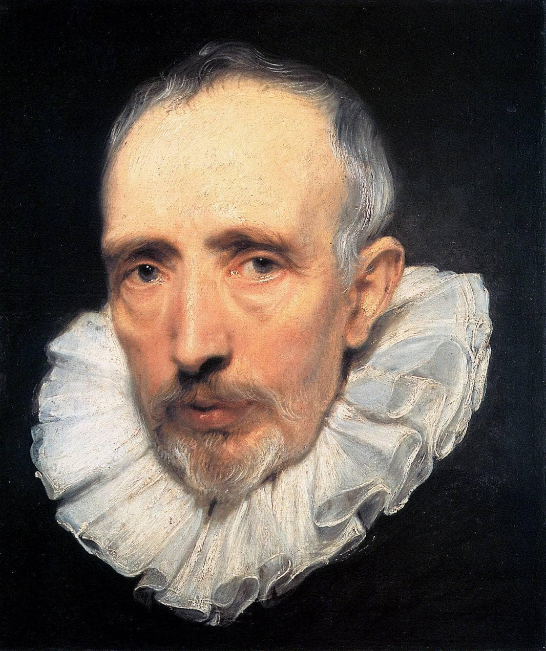 Portrait of Cornelis van der Geest by Anthony van Dyck — hand-painted portrait oil painting reproduction on canvas