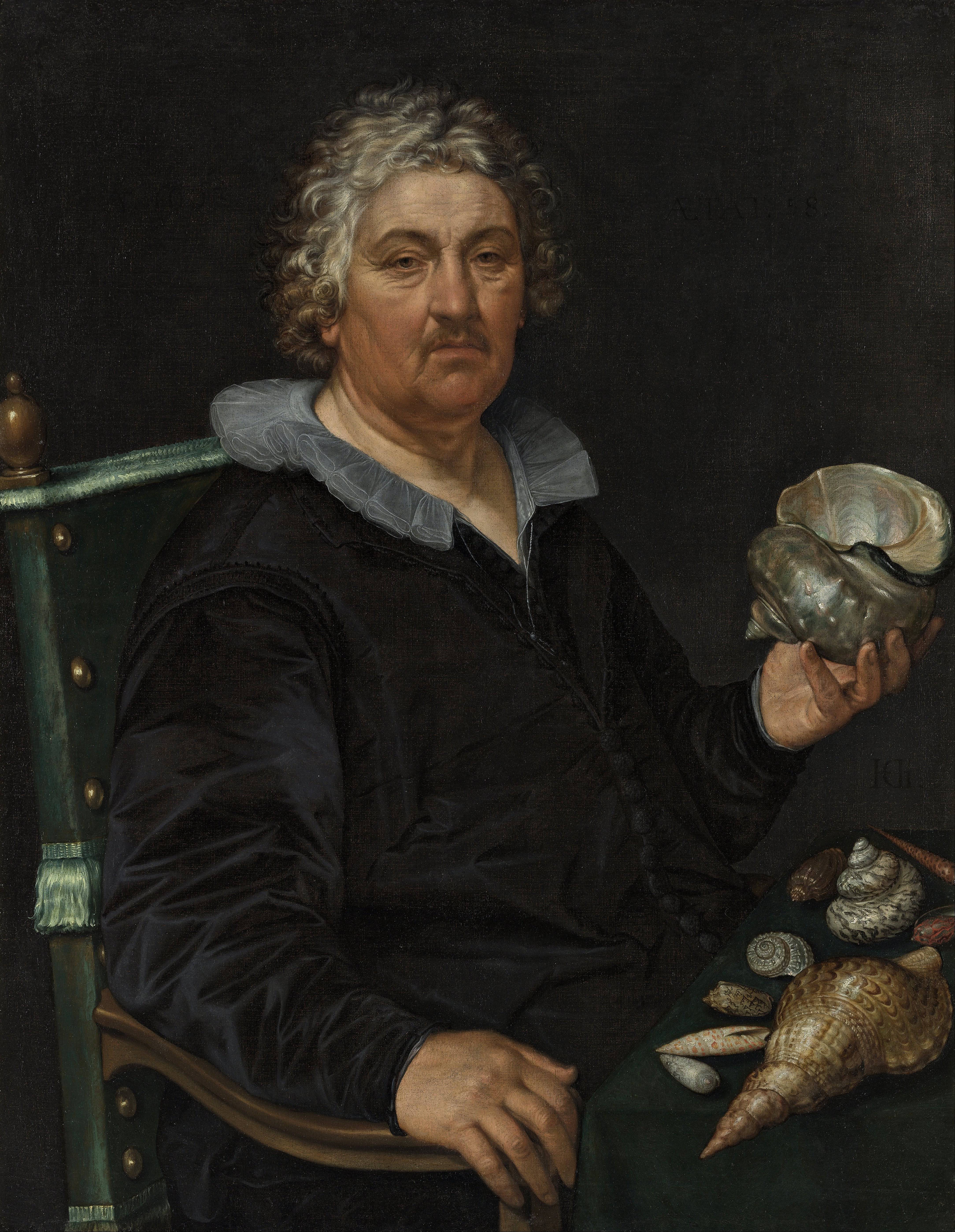 Portrait of Jan Govertsen Van Der Aer - Hendrick Goltzius