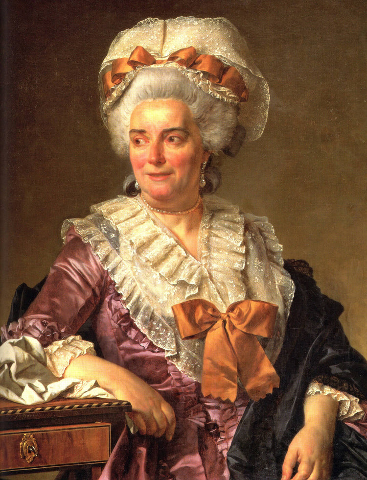 Portrait of Madame Charles-Pierre Pecoul, nee Potain, mother-in-law of the artist - Jacques-Louis David