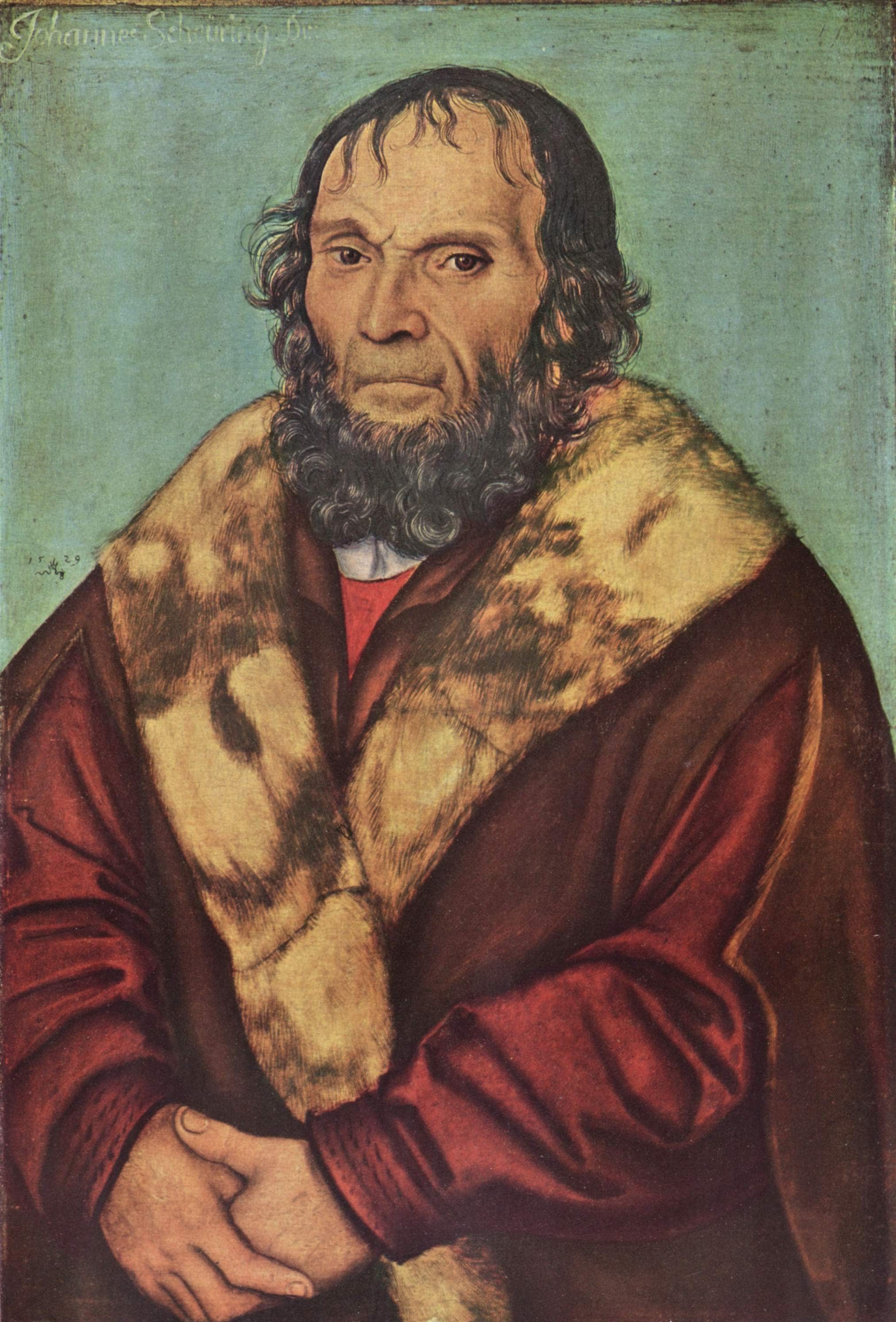 Portrait of Magdeburg Theologian Dr. Johannes Schöner - Lucas Cranach the Elder