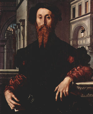 Portrait of Signor Panciatichi Bartolomeo - Agnolo Bronzino