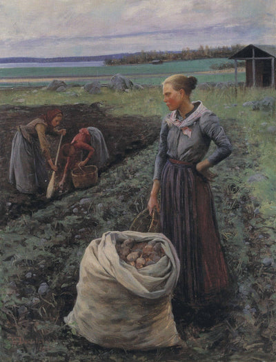 Potato Harversters in kitchen