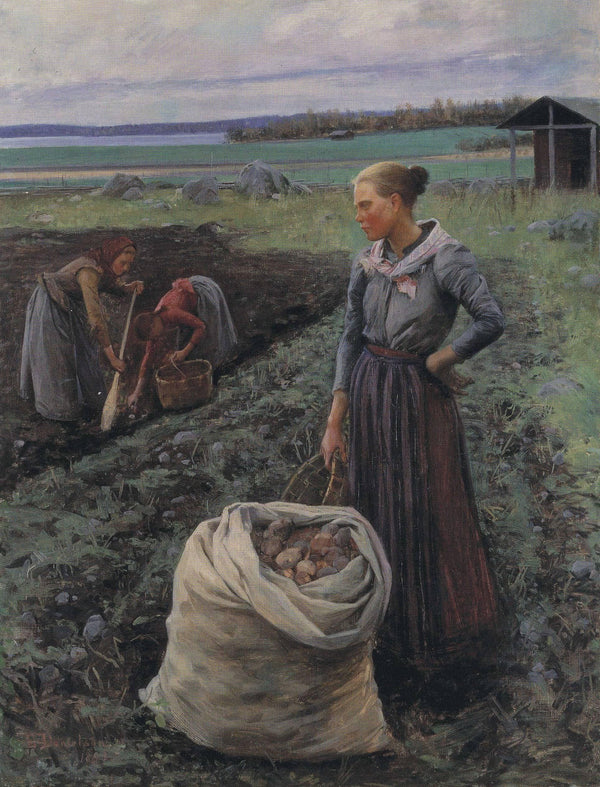 Potato Harversters