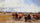 Powder Play City of Morocco, outside the Walls in dining room