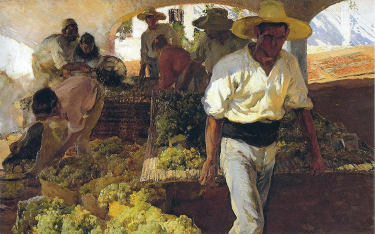 Preparing Raisins - Joaquín Sorolla