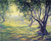 Provincial Olive Grove by Guy Rose — hand-painted botanical oil painting reproduction on canvas