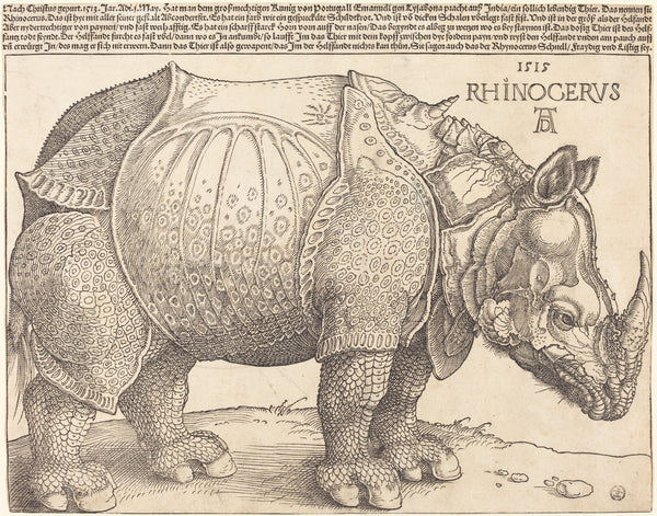 The Rhinoceros, by Albrecht Dürer, Woodcut on laid paper, c. 1512–1515