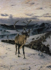 Rentier auf Anhöhe vor verschneiter Tundralandschaft