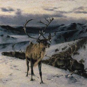 Rentier auf Anhöhe vor verschneiter Tundralandschaft