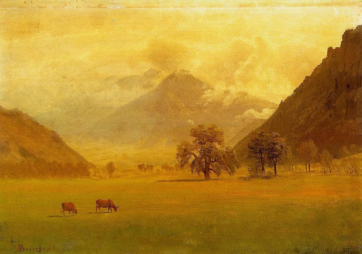 Rhone Valley by Albert Bierstadt — hand-painted botanical oil painting reproduction on canvas