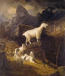 Rocky Mountain Goats by Albert Bierstadt — hand-painted animal oil painting reproduction on canvas