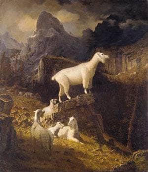 Rocky Mountain Goats by Albert Bierstadt — hand-painted animal oil painting reproduction on canvas