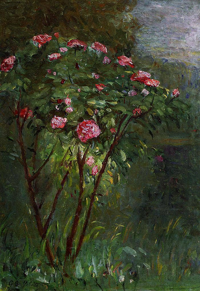Rose Bush in Flower by Gustave Caillebotte — hand-painted botanical oil painting reproduction on canvas