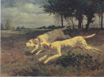 Running dogs in modern living room