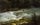 Running Stream at San Cosimato in study