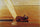 Sailing in living room