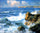 San Diego Shores in kitchen